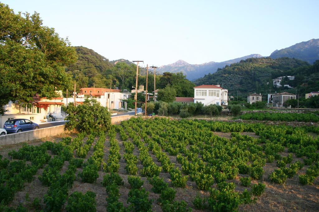 Hotel Apartment Agios Konstantinos 外观 照片